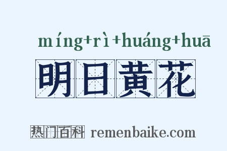 明日黄花是什么意思的图片